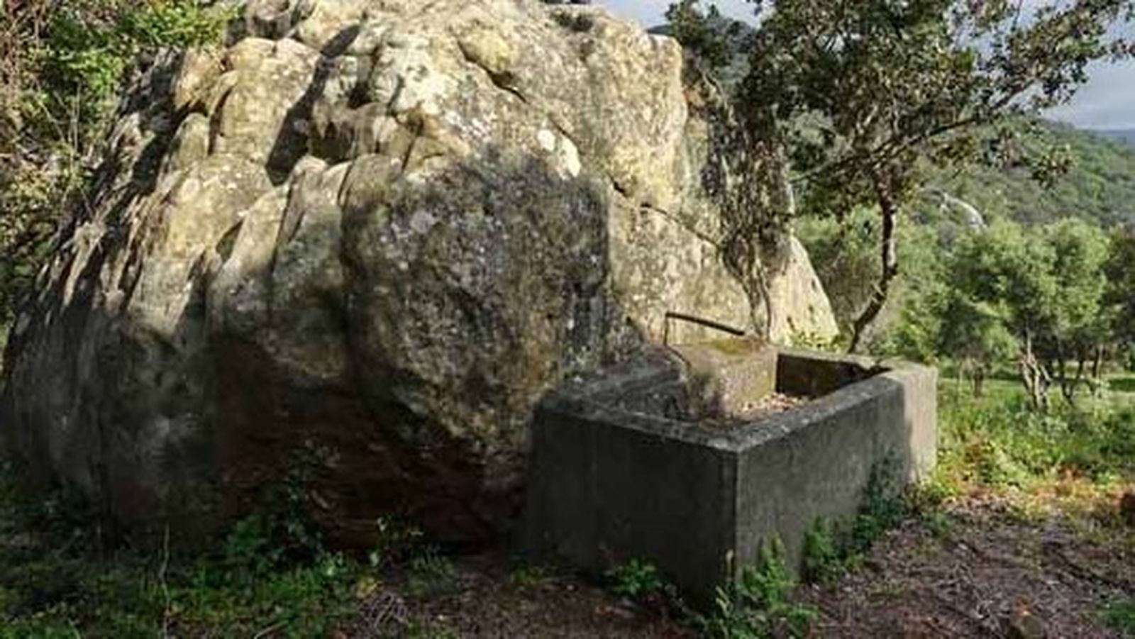 Pilar de tejas verdes