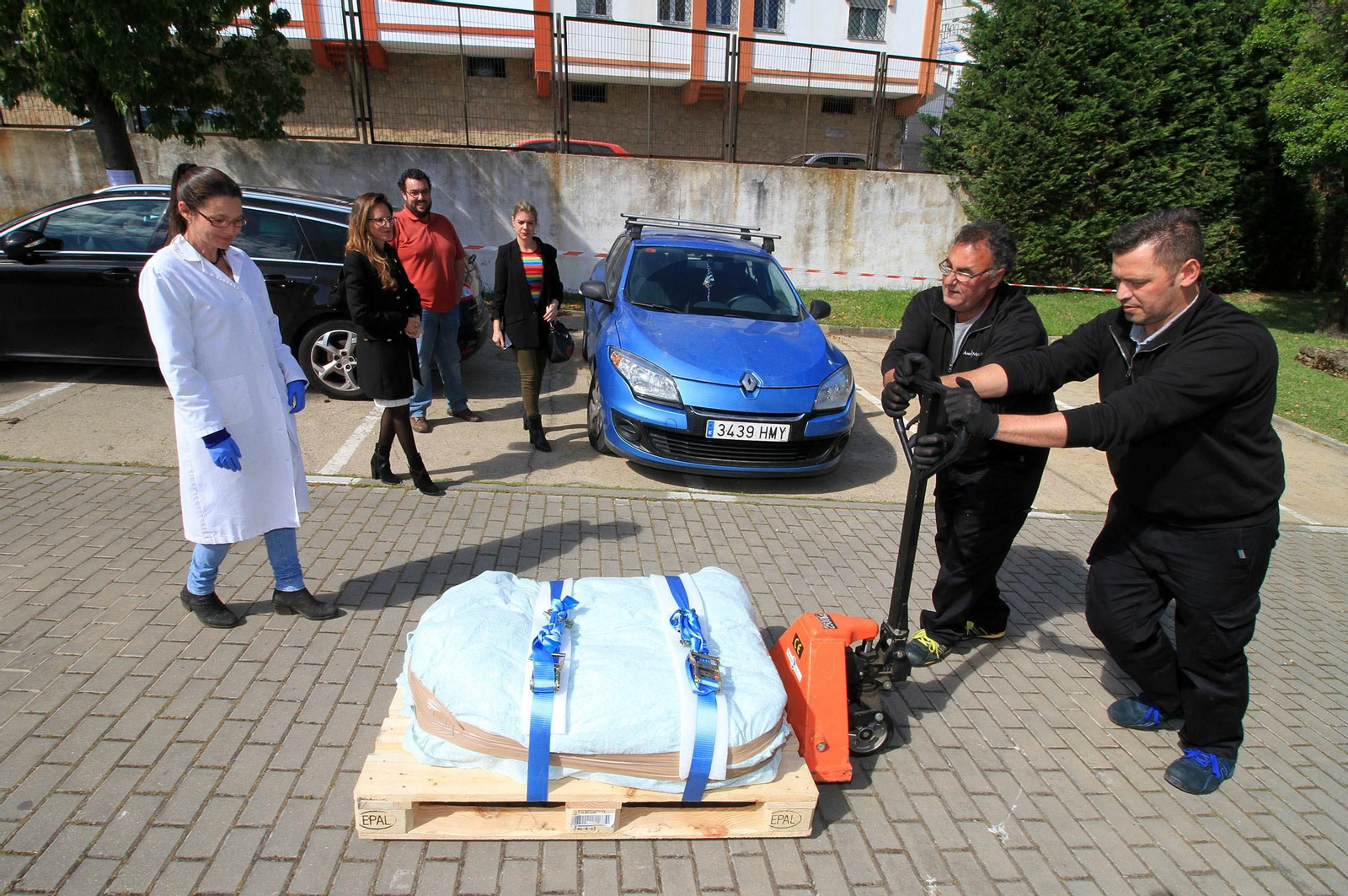 Imágenes de la llegada al museo de Huelva de la estela de cerca de 5.000 años de antigüedad hallada en Cañaveral de León