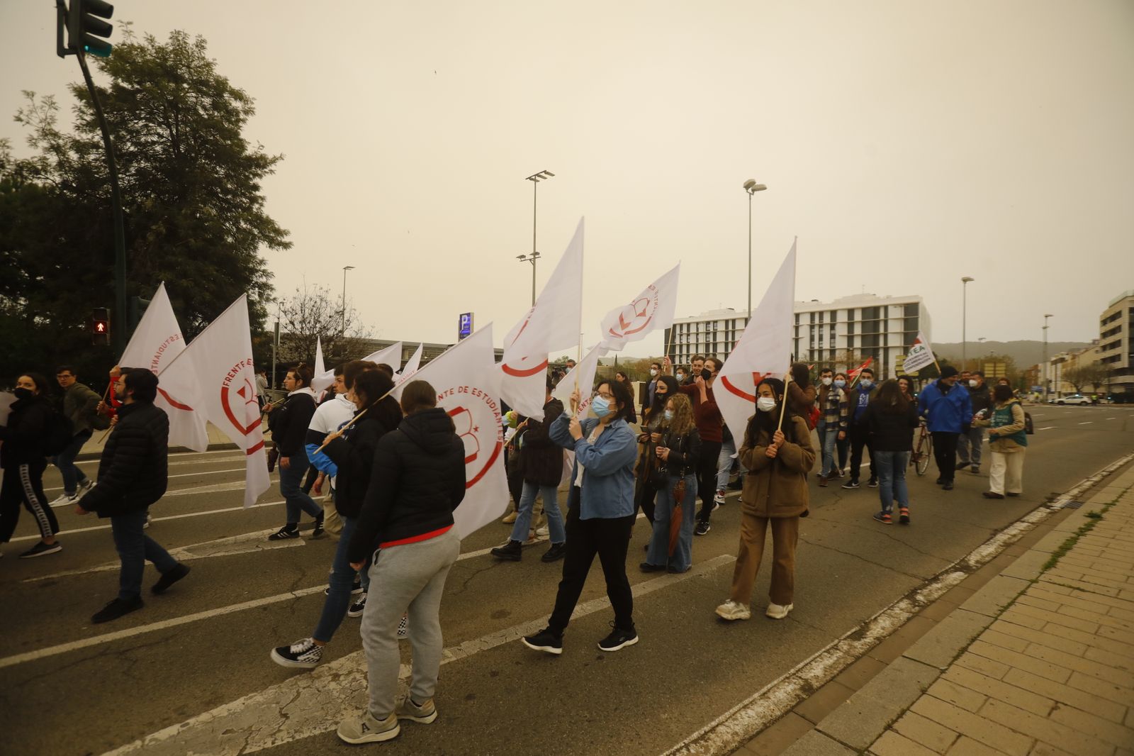 La manifestación estudiantil contra la reforma educativa, en imágenes