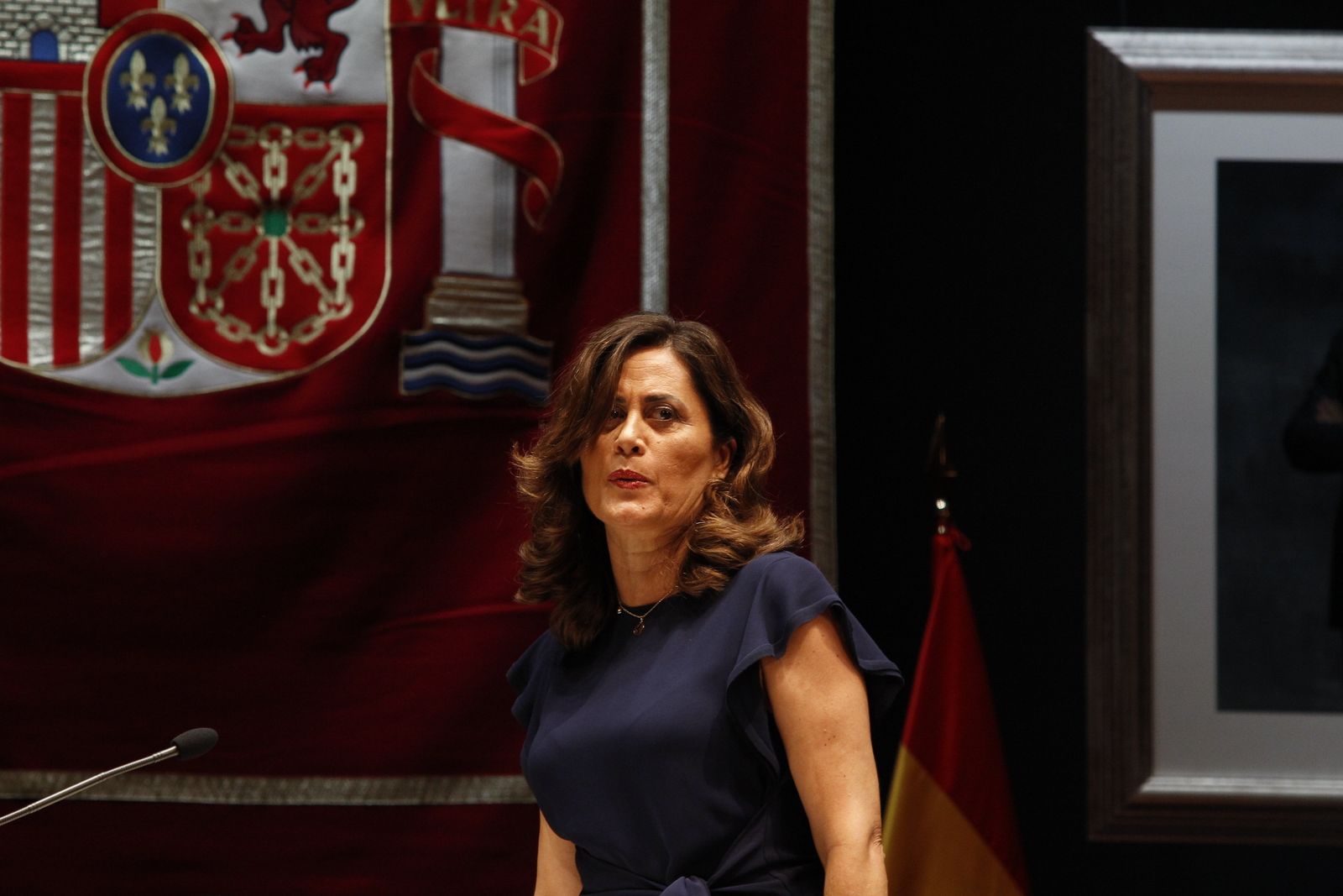 Fotogalería Pleno Constitución Ayuntamiento de Almería