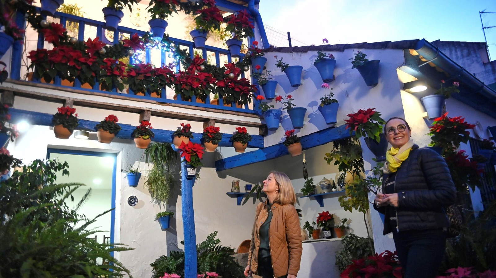 Los Patios de Córdoba se visten de gala por Navidad