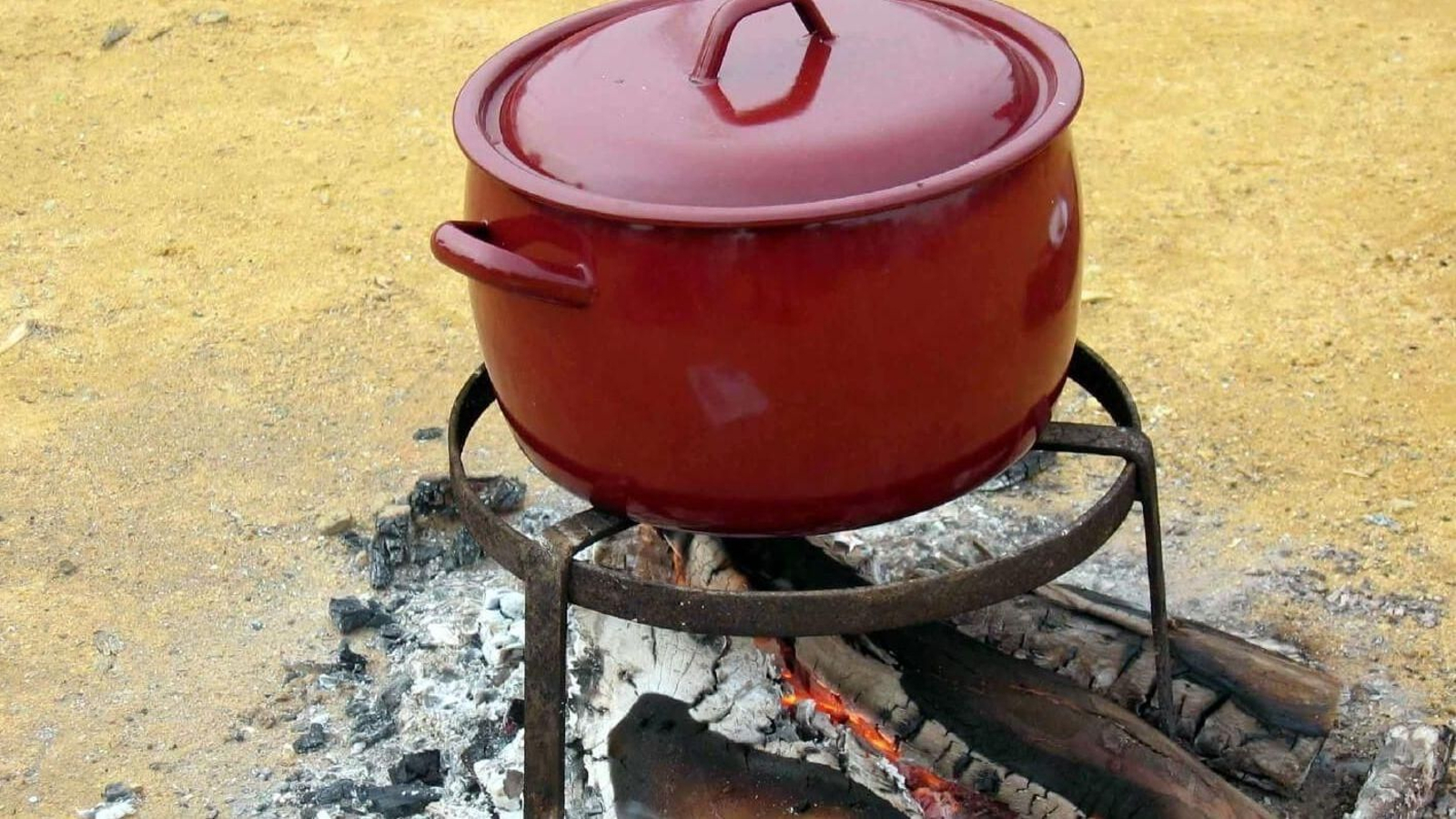 'Garbanzo como conejo' de Trebujena (Cádiz)