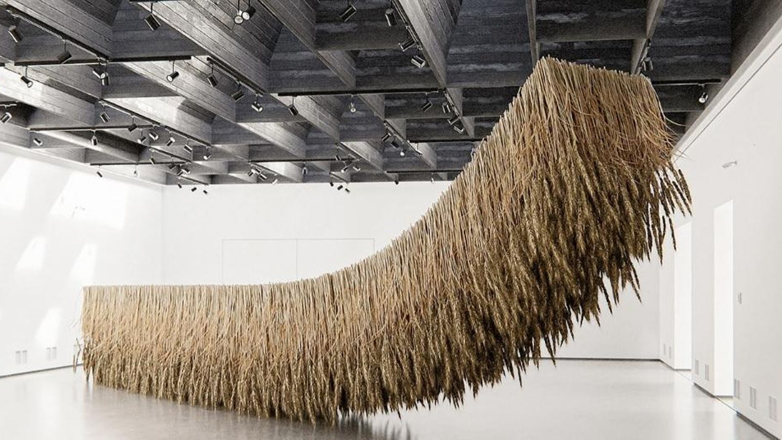 Una instalación de Tadao Cern.