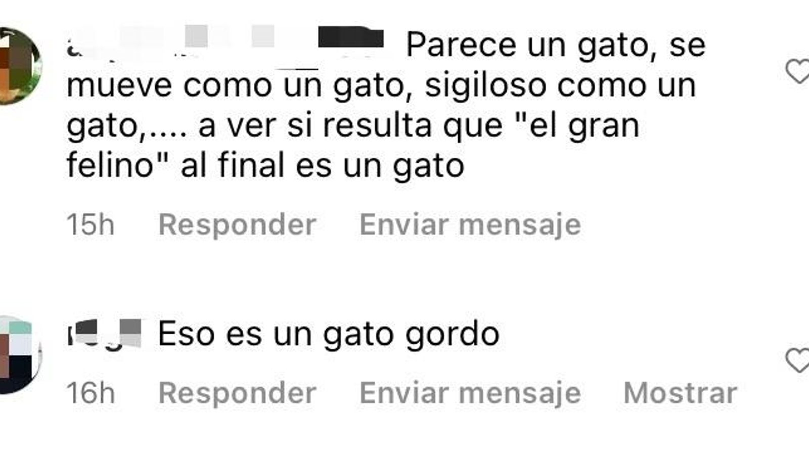 Reacciones de los usuarios en Instagram.