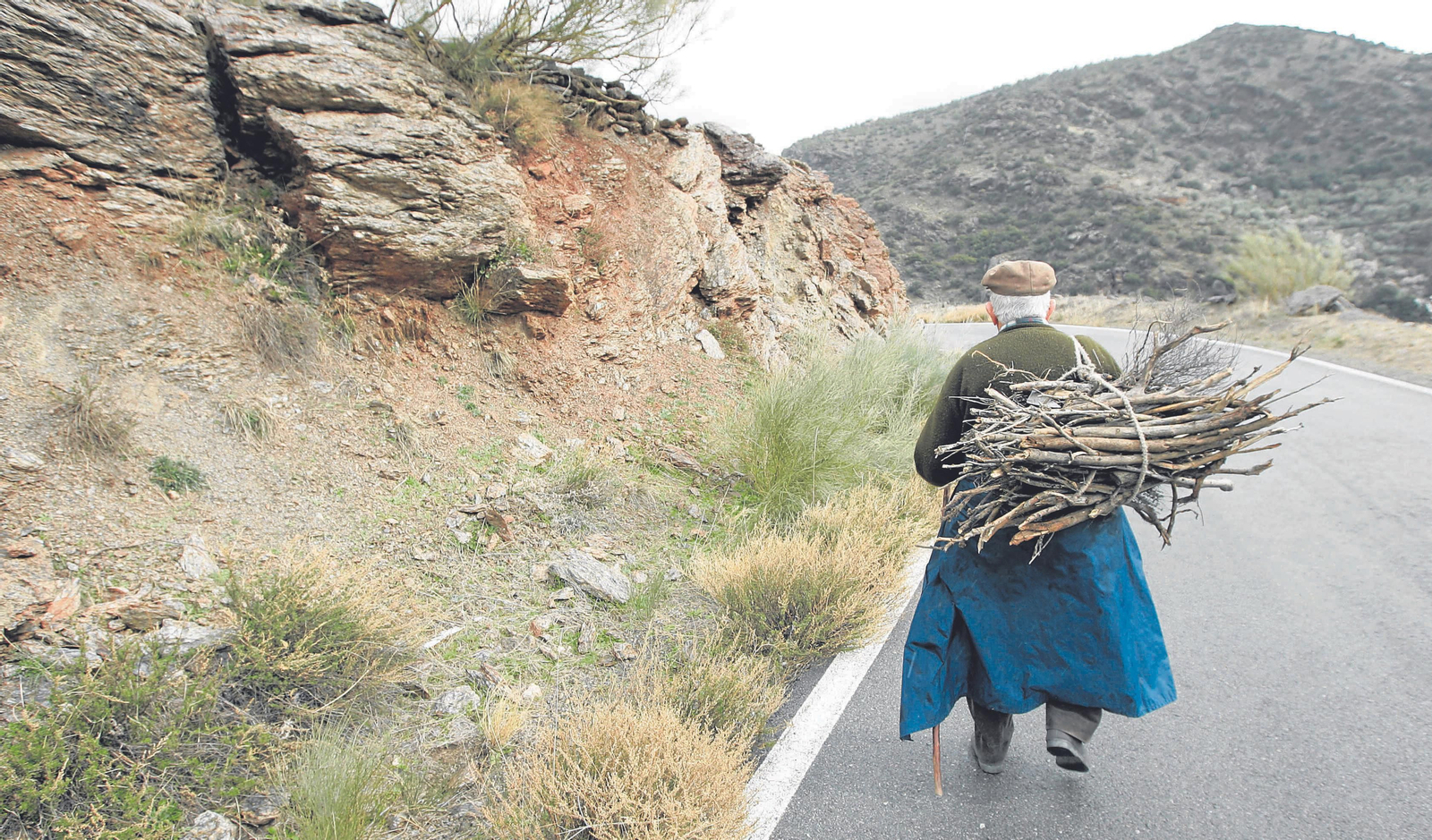 Un vecino de un pueblo de la Alpujarra almeriense transporte en su espalda ramas de madera
