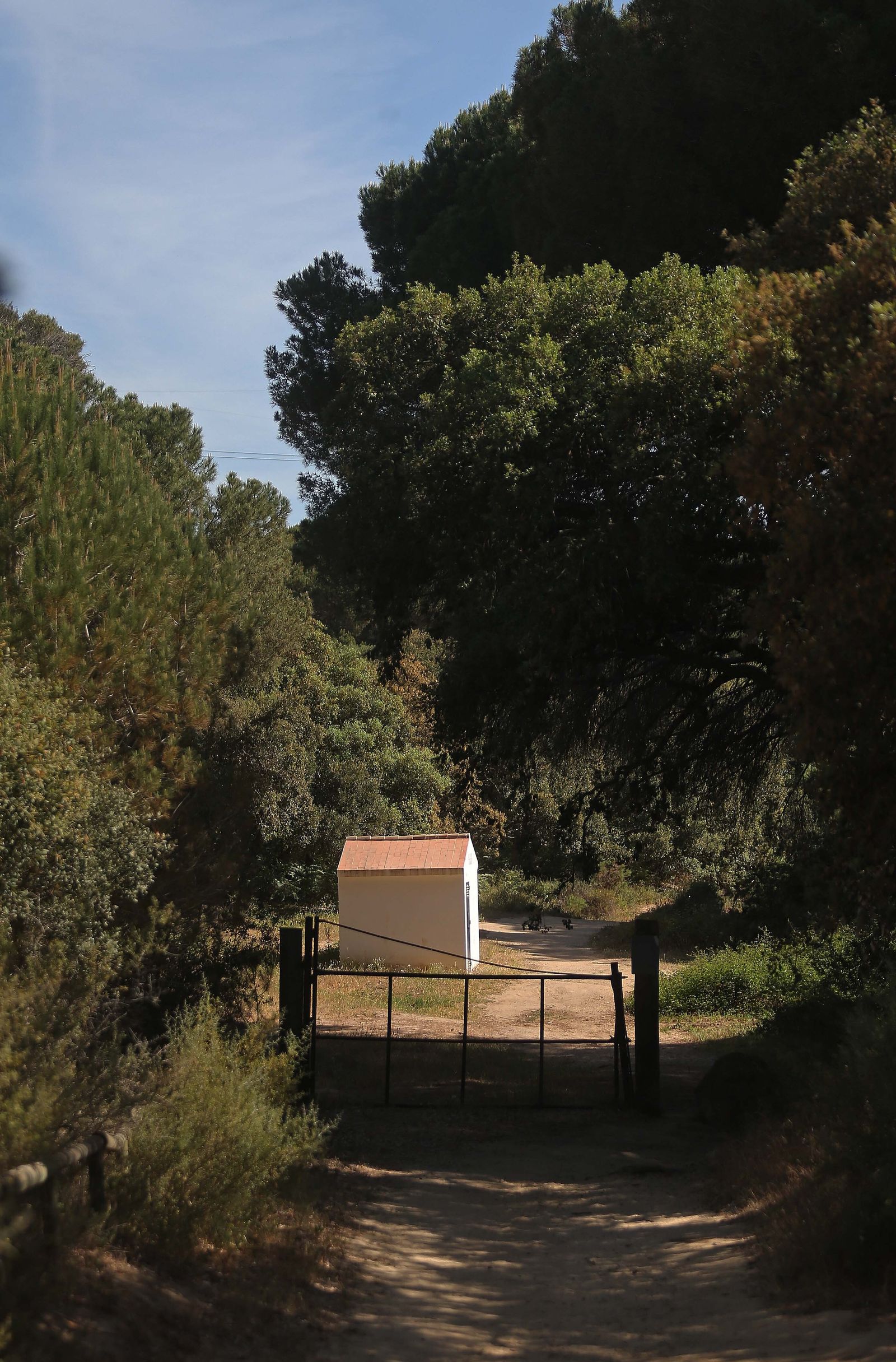 El Pinar del Rey de San Roque, en imágenes