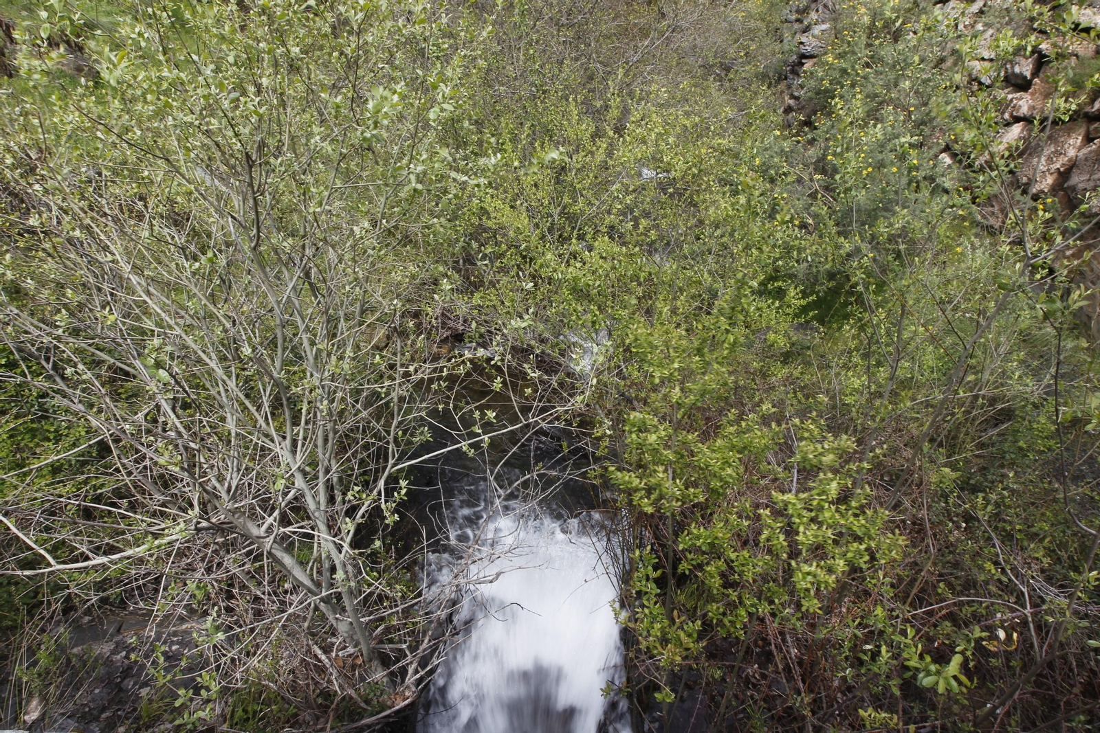 Naturaleza desconfinada. La Roza (Abrucena)
