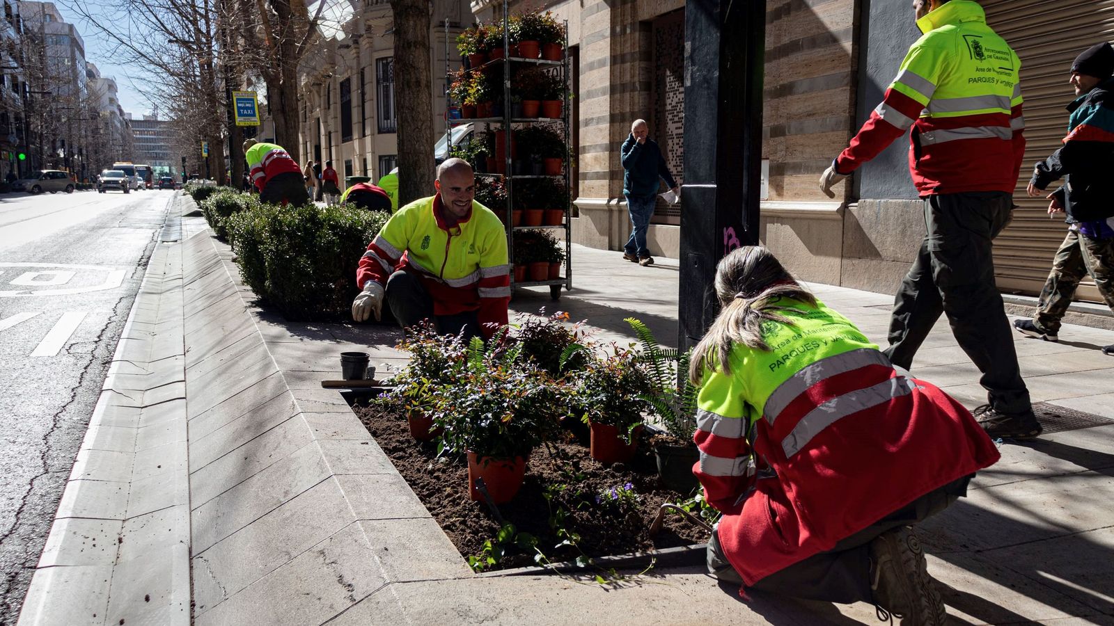 Trabajos en la Gran Vía del personal de Jardines.