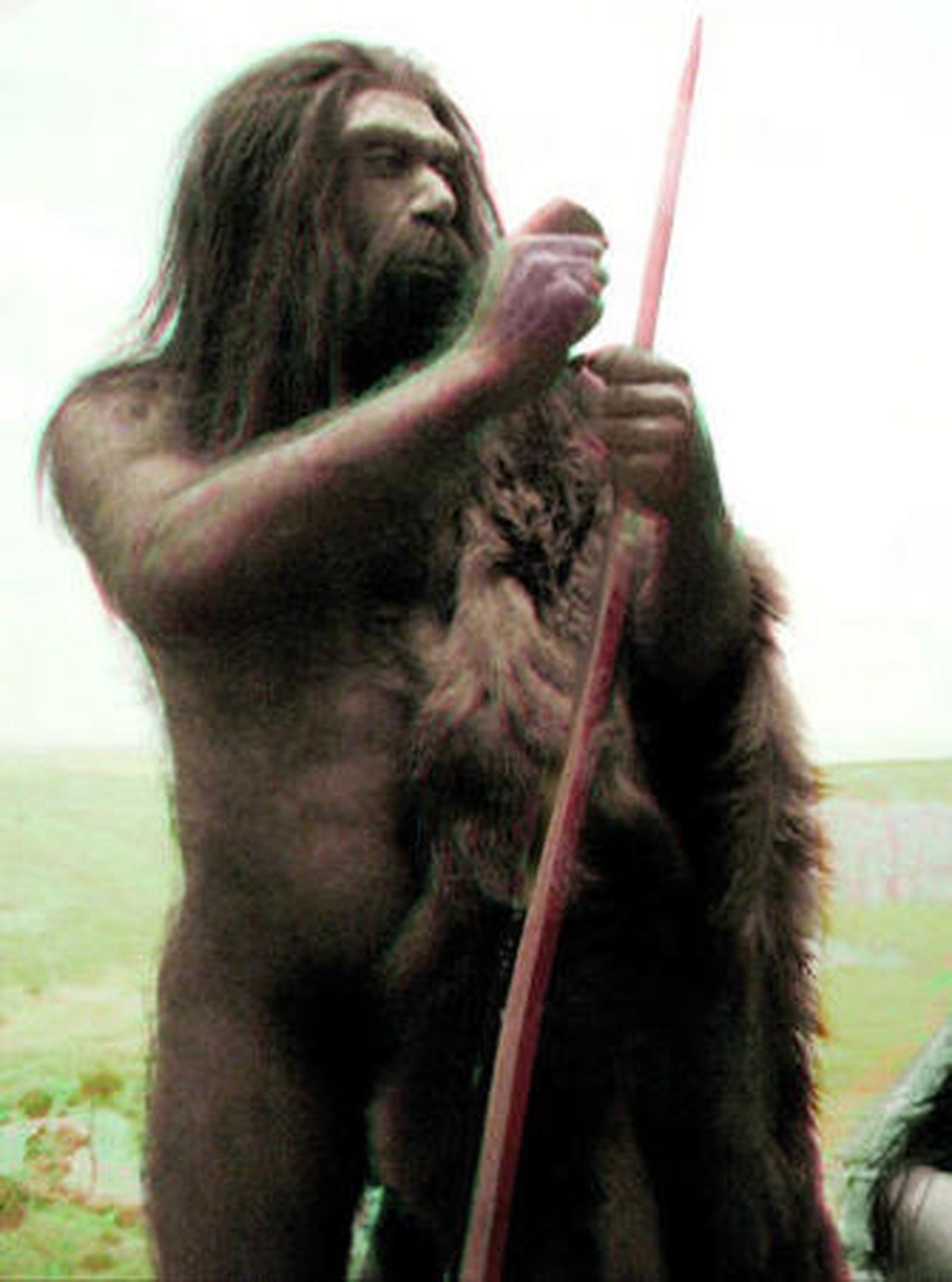 Recreación del aspecto de un Hombre de Neanderthal.