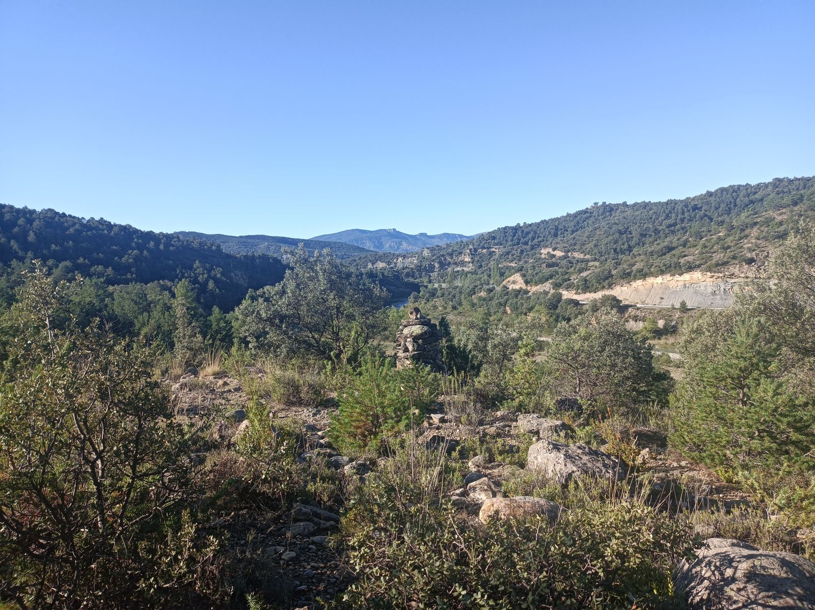 La vegetación ya es muy diferente.