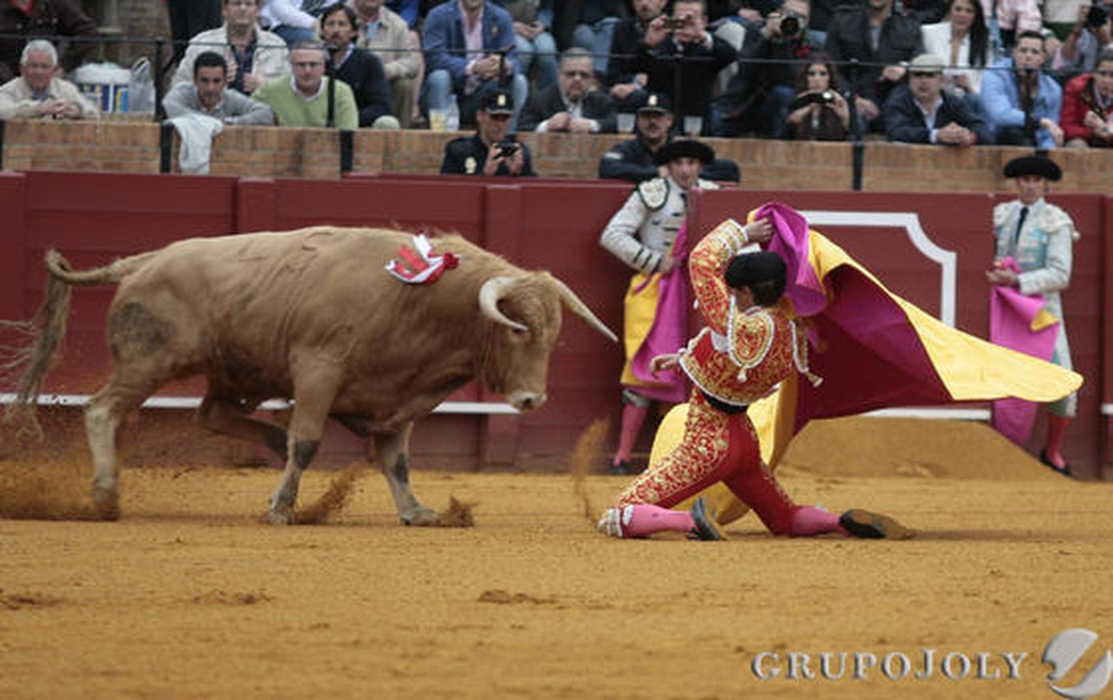 Lama de Góngora.

Foto: Juan Carlos Mu?
