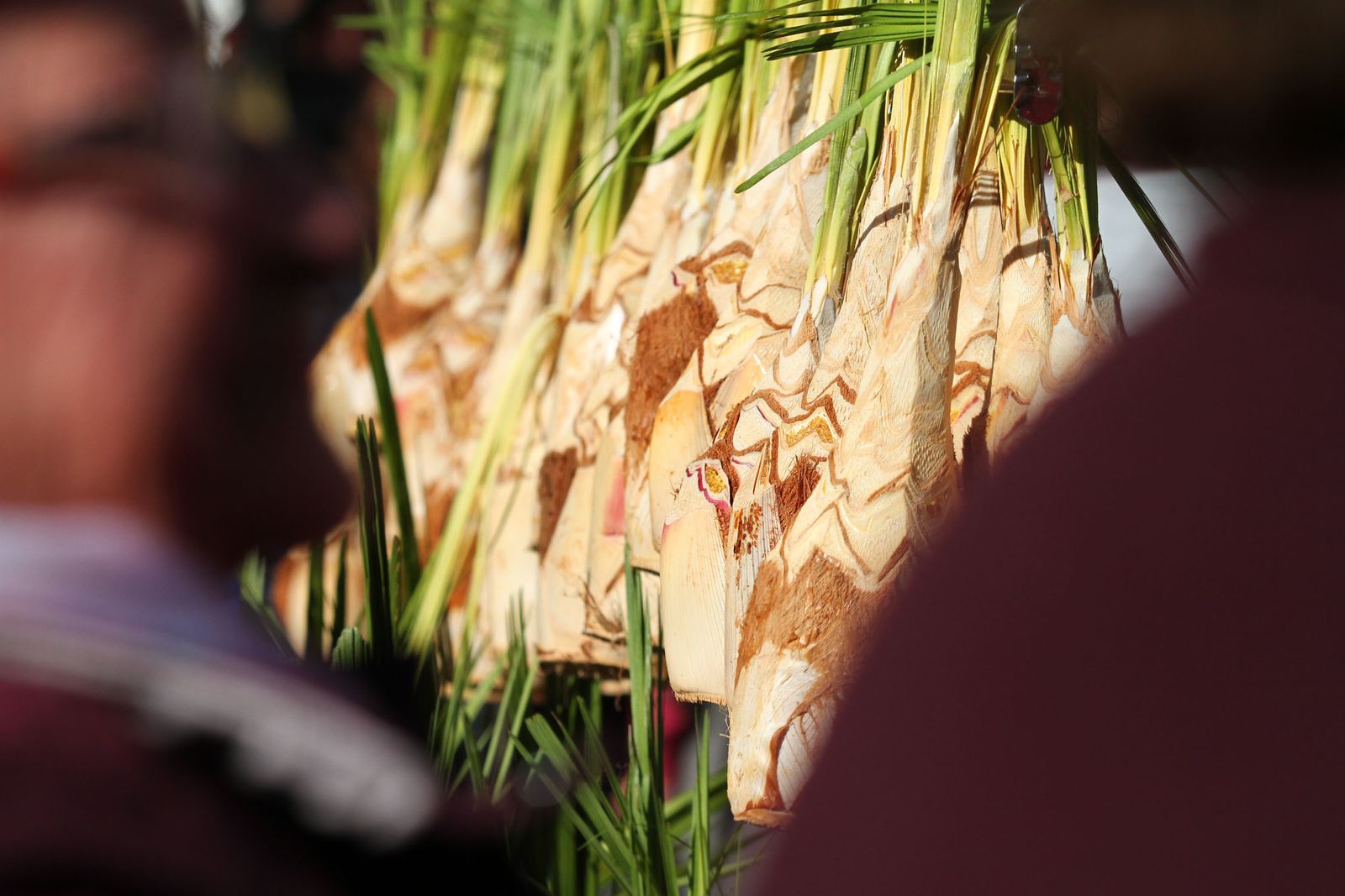 La procesión de San Sebastian en Imágenes.