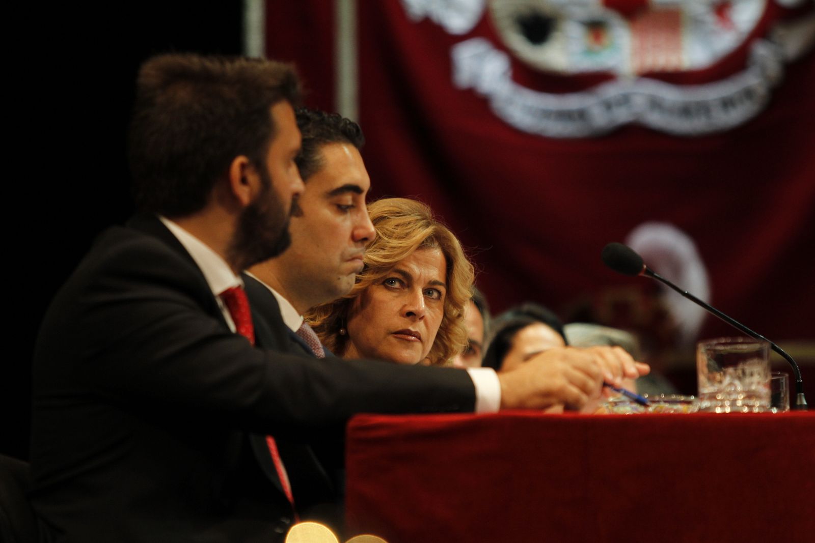 Fotogalería Pleno Constitución Ayuntamiento de Almería