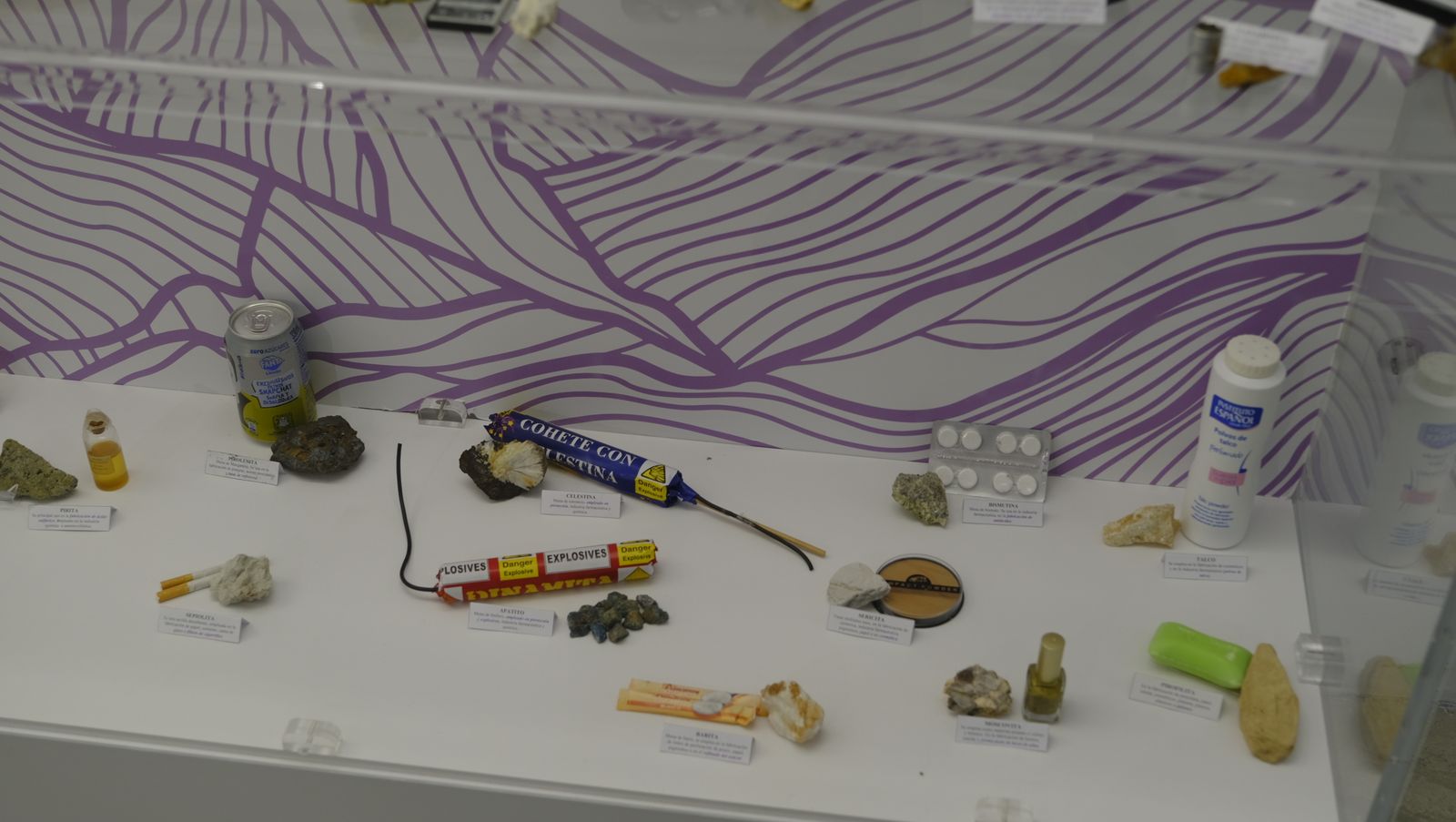 Las mejores imágenes del Pabellón de Historia Natural de la UAL