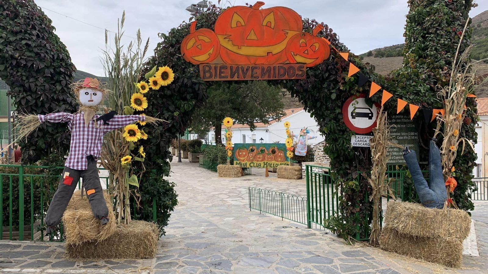 La villa de Bacares da la bienvenida a todos los turistas con una otoñal decoración en todas sus calles.