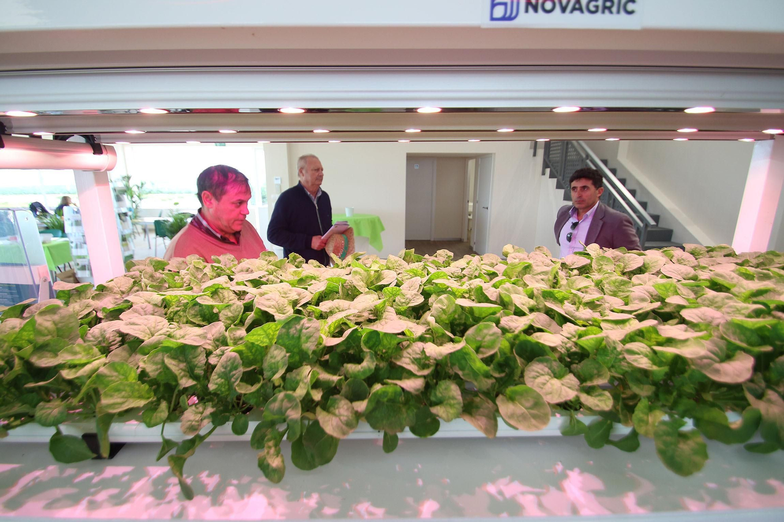 Fotogalería de las jornadas de puertas abiertas de Rijk Zwaan en Cartagena