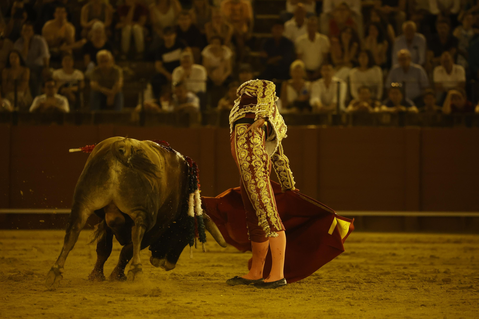 Las imágenes de la novillada en la Maestranza
