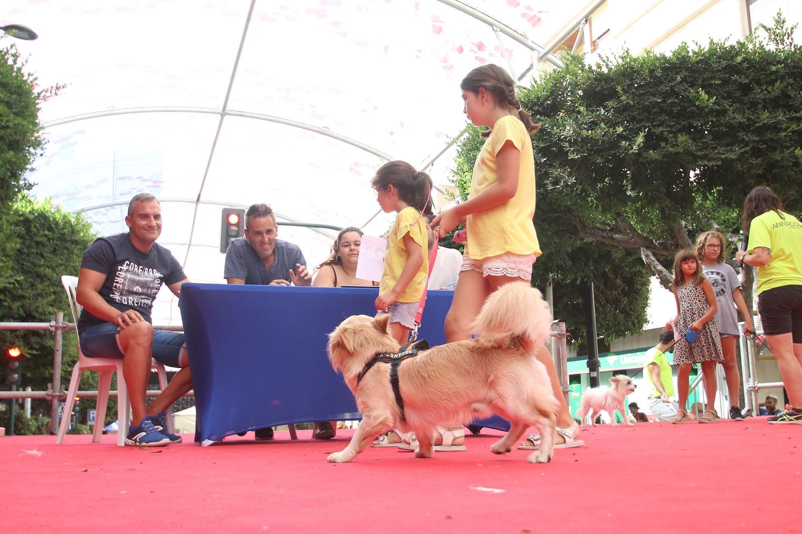 Fotogalería del concurso canino. Feria de Almería 2019
