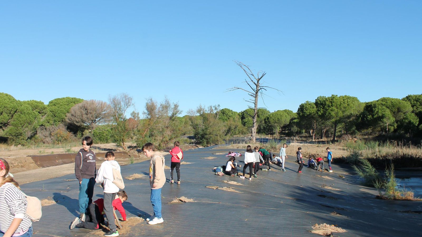 Niños plantando árboles en el Chorrito del Valle.