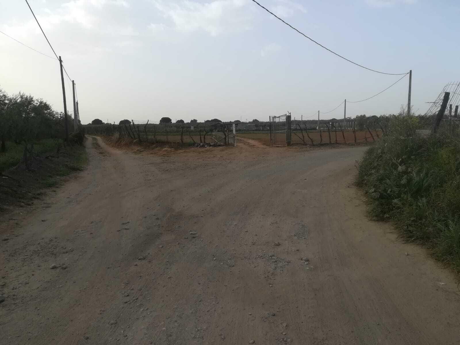 Fotos de la ruta Umbrete-Ermita de Cuatrovitas