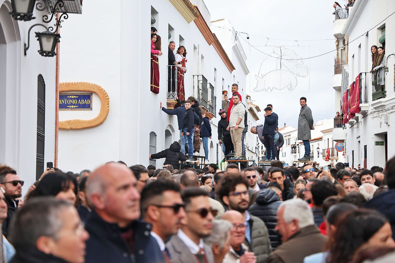 Las mejores fotografías de las Tiradas a San Antonio Abad en Trigueros