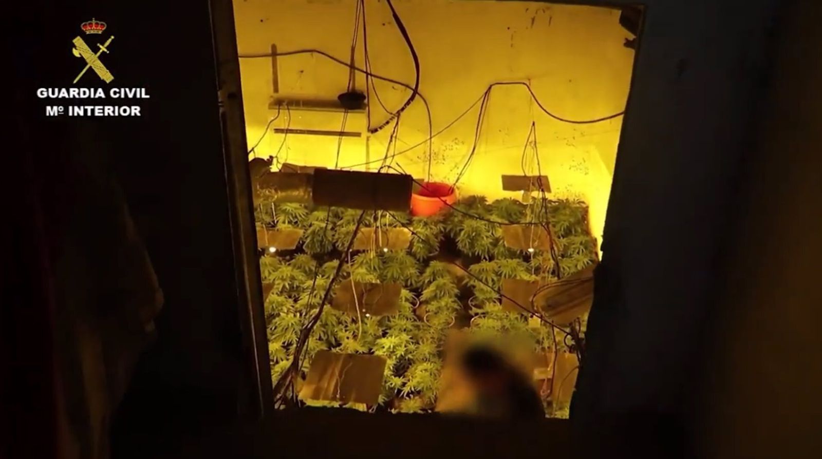 Operación 'Alania Plus' desarrollada por la Guardia Civil en Gádor.