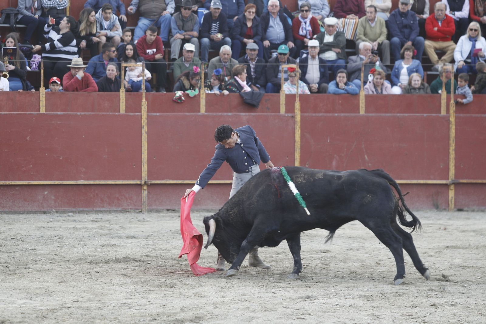 Fotogalería Festival Taurino Mixto. Fiestas de Abrucena.