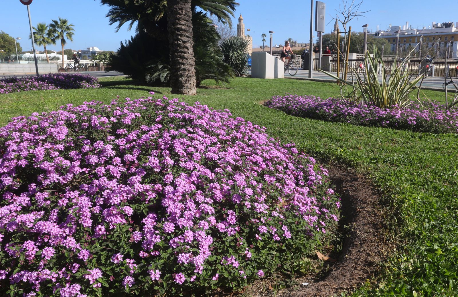 Comienzo de la primavera en Sevilla