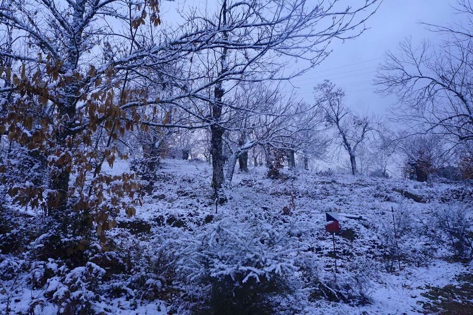 Tres años de Filomena: Así de nevada y bonita quedó la Sierra de Aracena