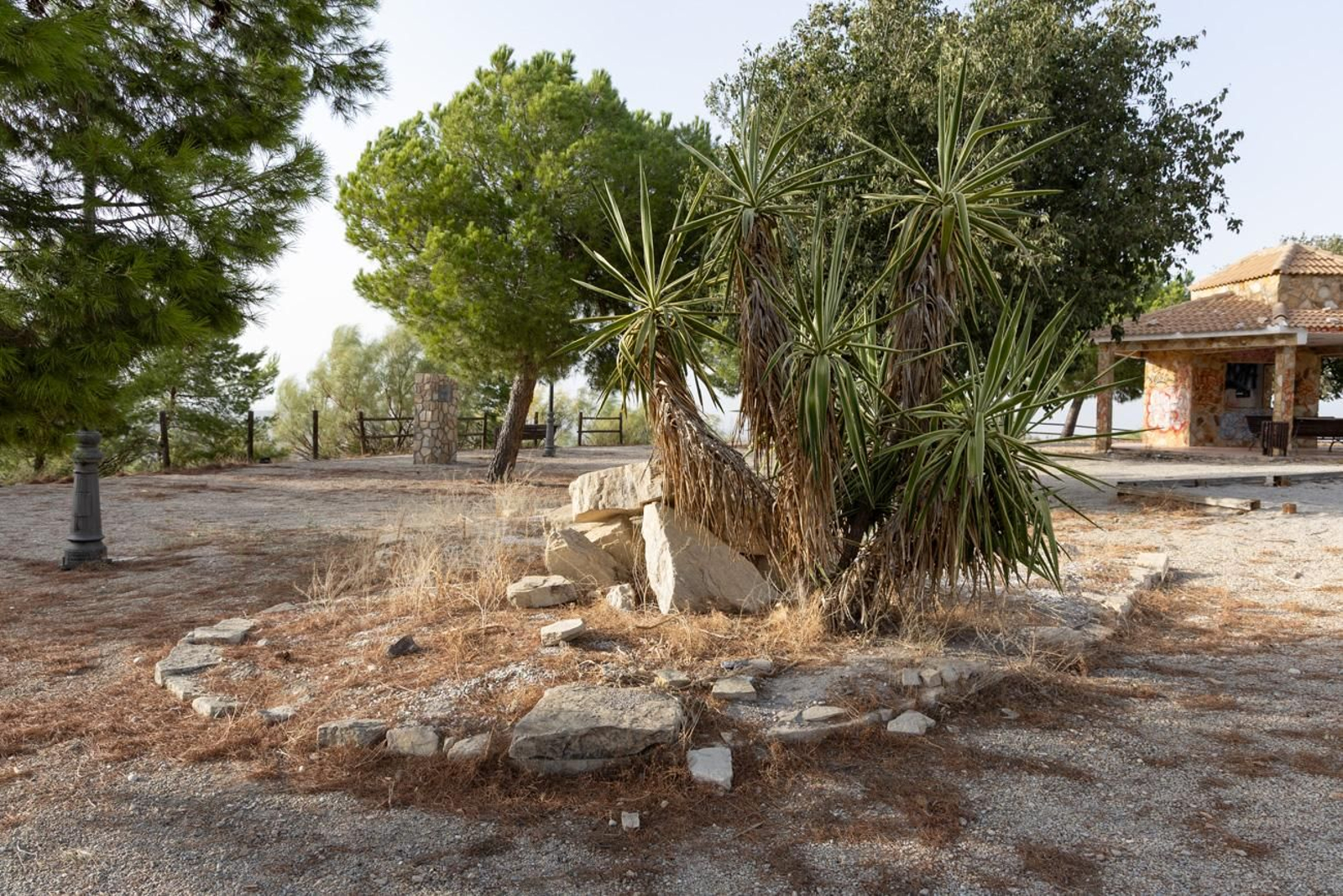 Estado de abandono del parque del Cerro de las Canteras