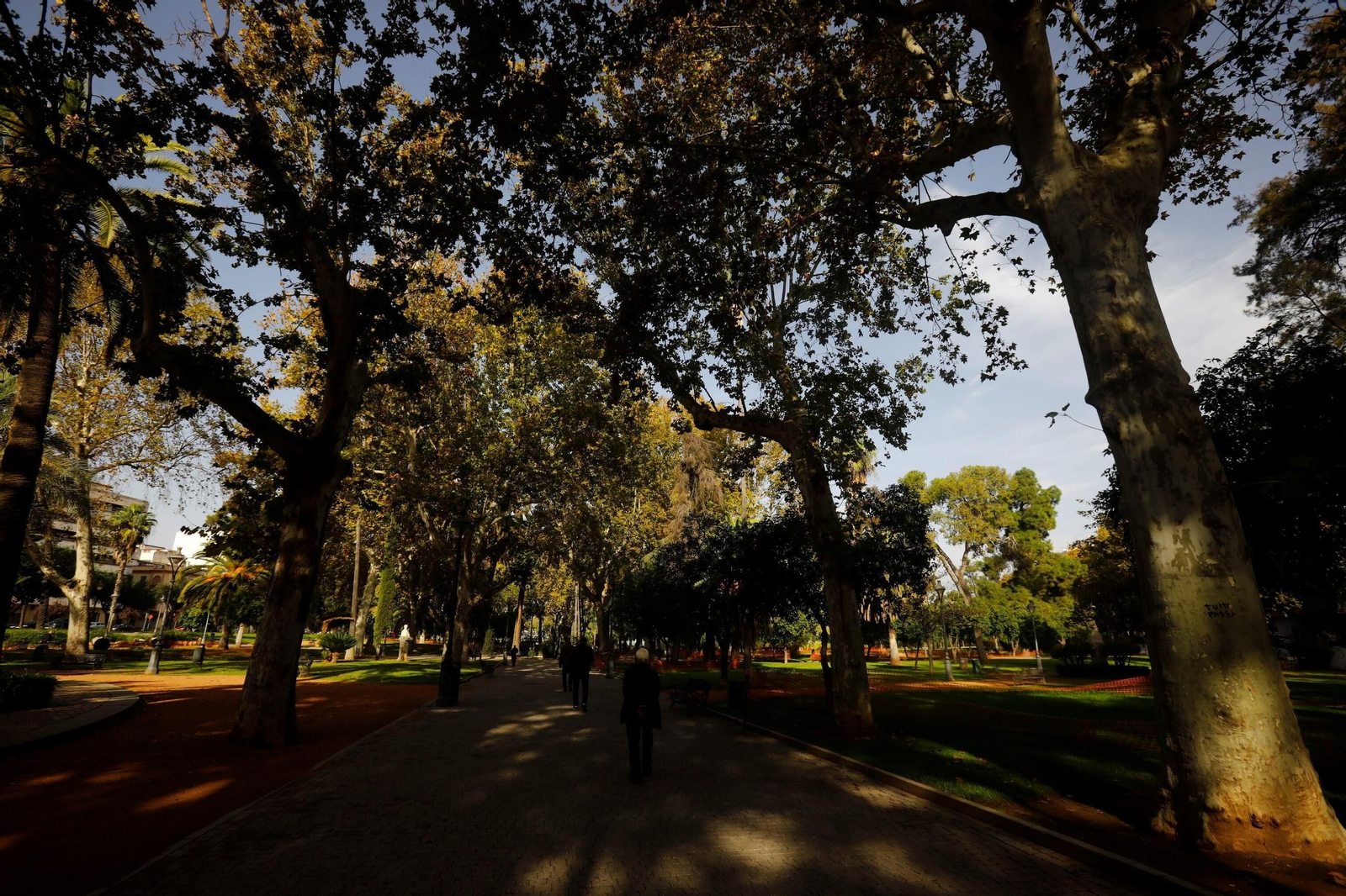La belleza de los Jardines de la Agricultura de Córdoba, en imágenes