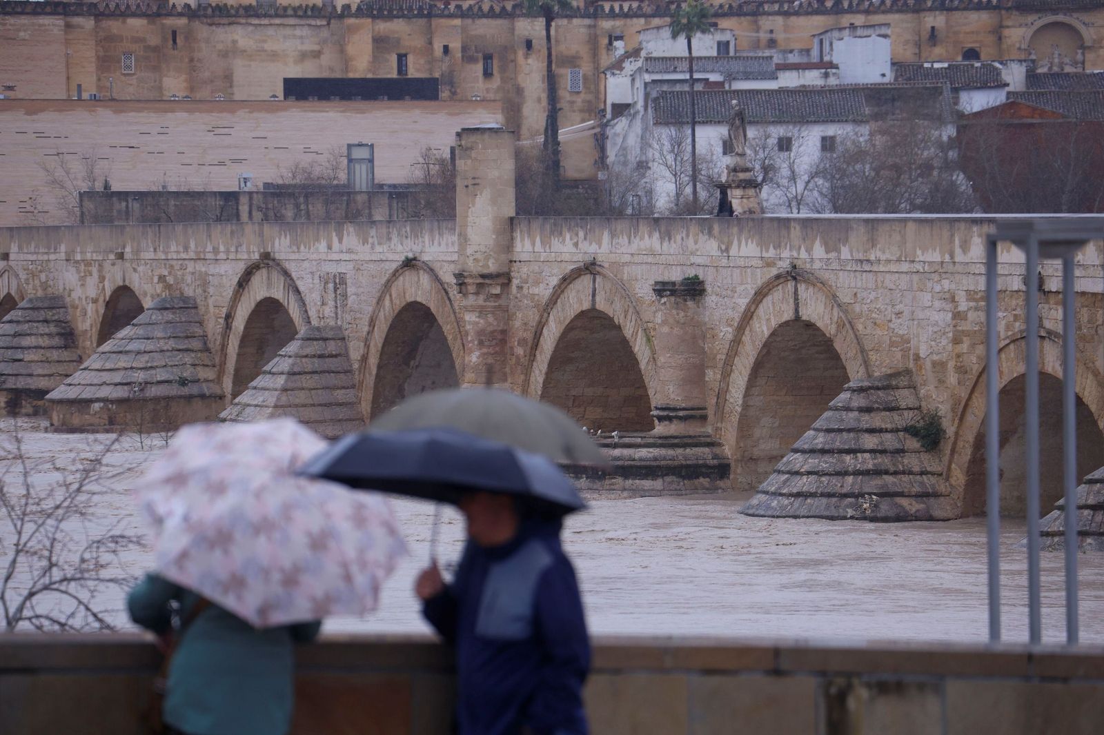 Así se muestra el río Guadalquivir a su paso por Córdoba a la espera de otra crecida