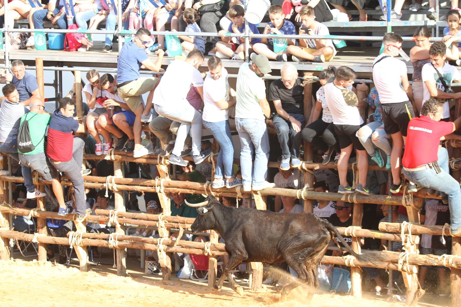 Comienzan las capeas en San Juan del Puerto