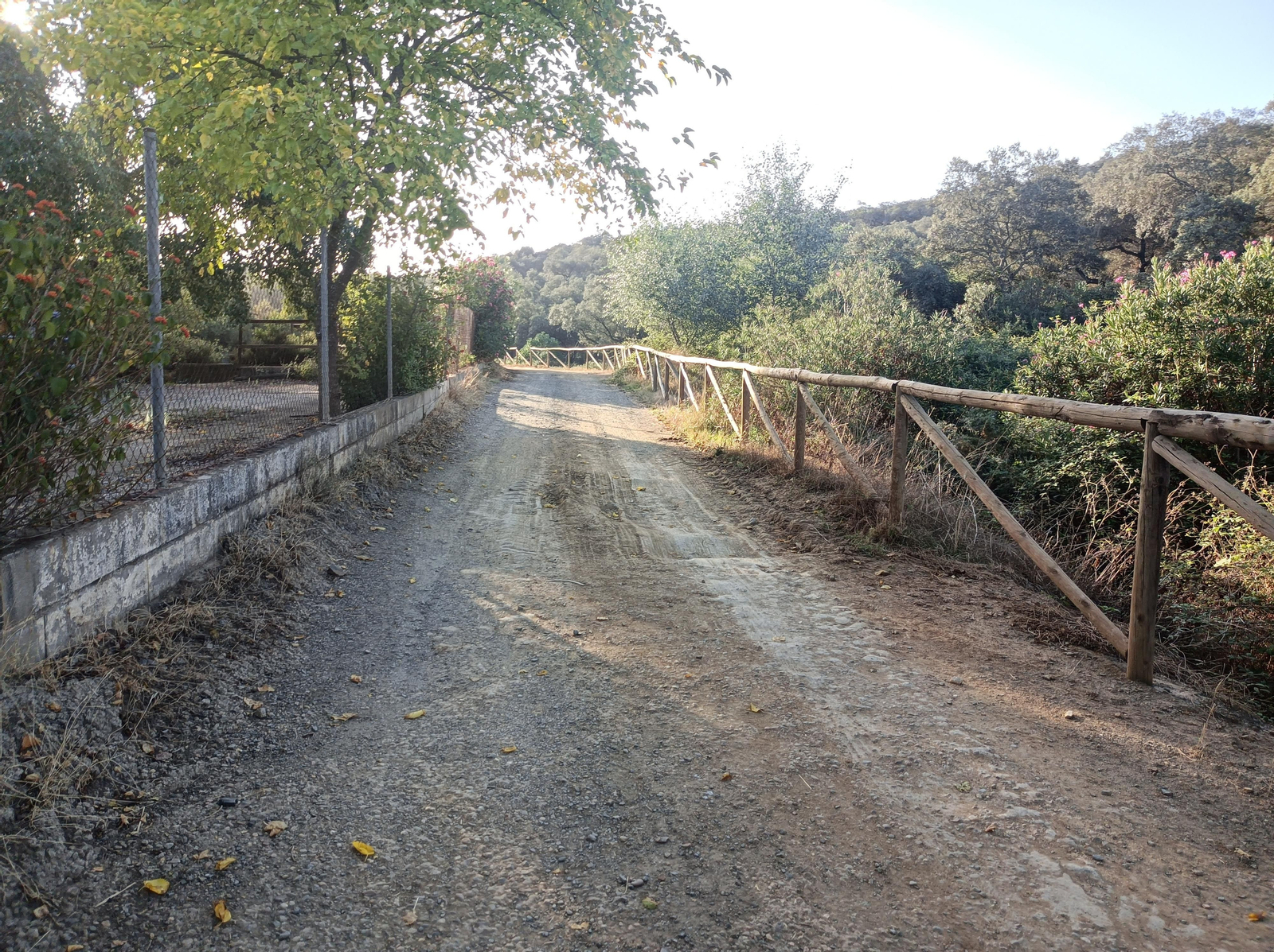 Fotos de la ruta de Los Brezales-Umbría de Santa Fe en el Ronquillo
