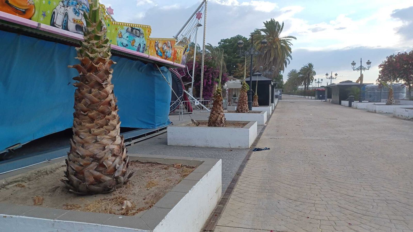 Algunos de los nuevos ejemplares que se plantaron en los alcorques del Parque Calderón.
