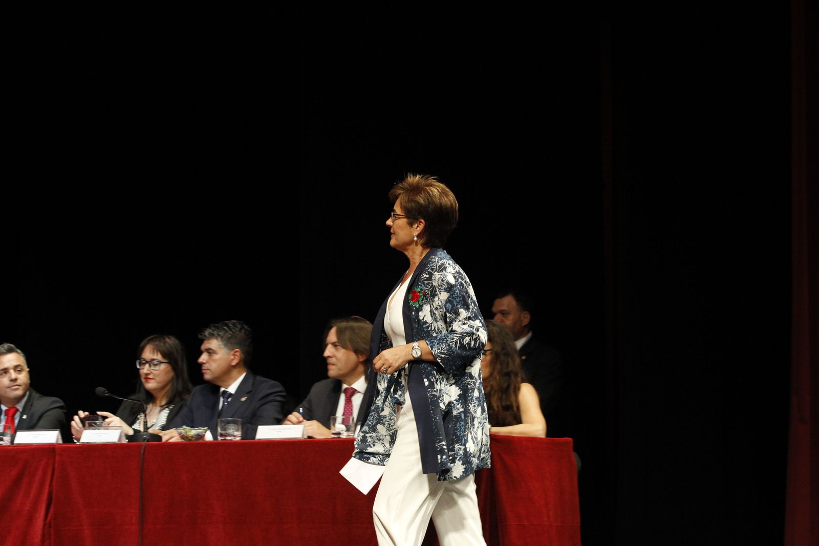Fotogalería Pleno Constitución Ayuntamiento de Almería
