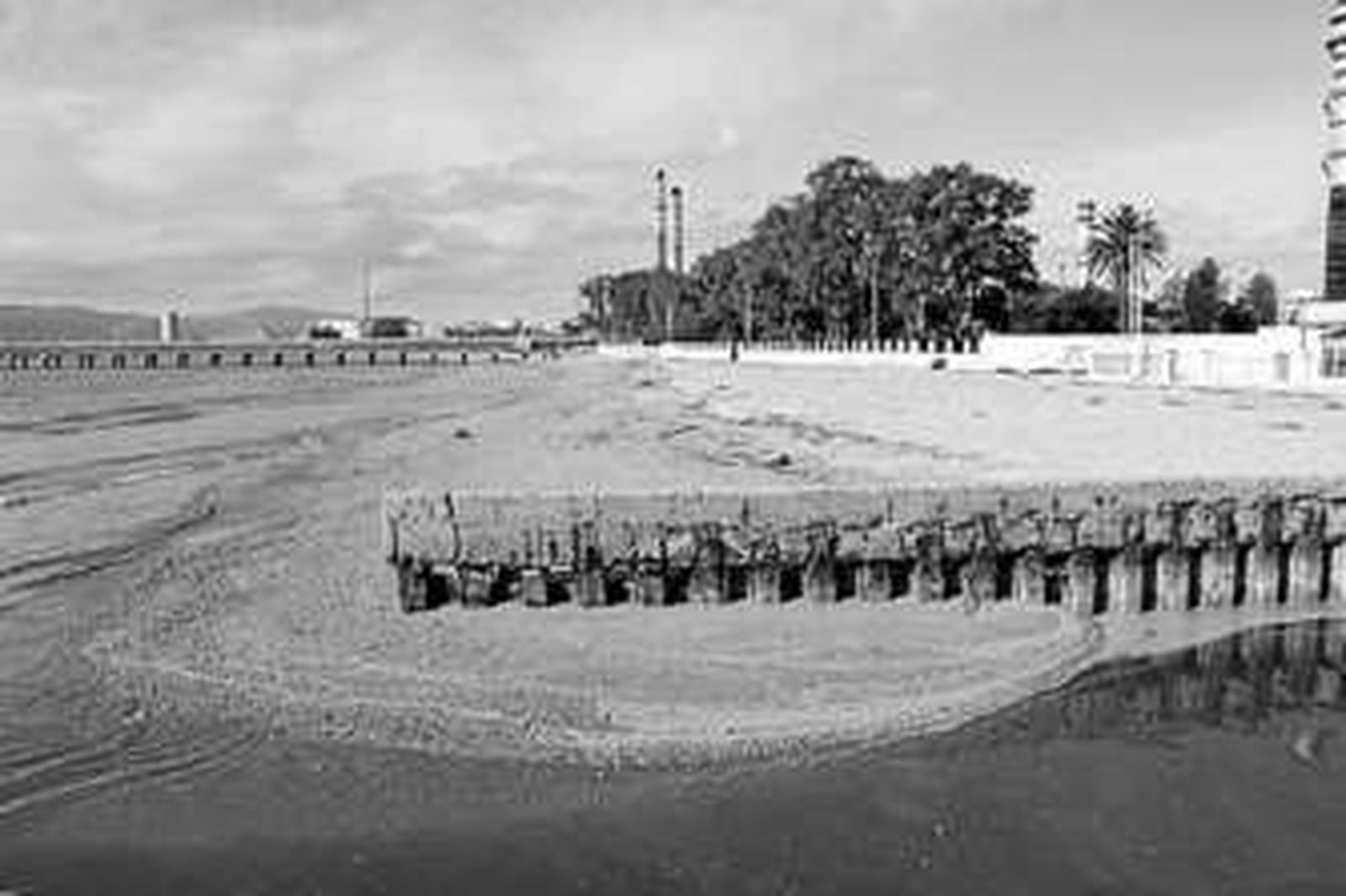 Imagen del vertido a su paso por el arroyo sanroqueño de Los Gallegos.