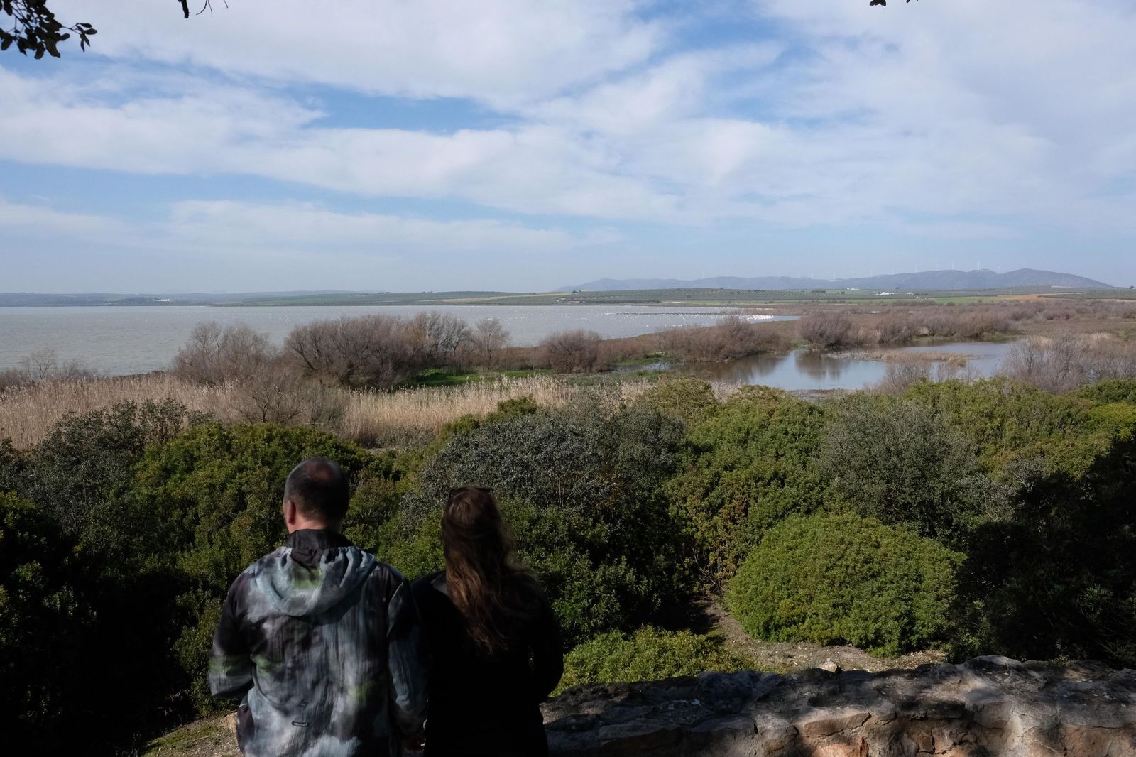 Las lluvias transforman el paisaje en el interior de Málaga, en imágenes