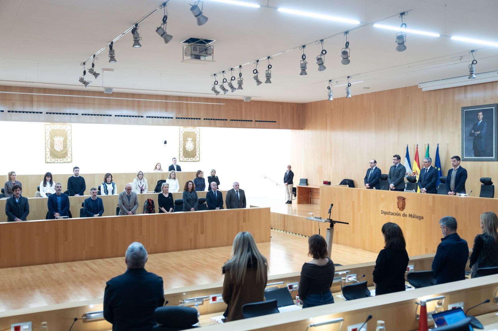 Un momento del Pleno de la Diputación.