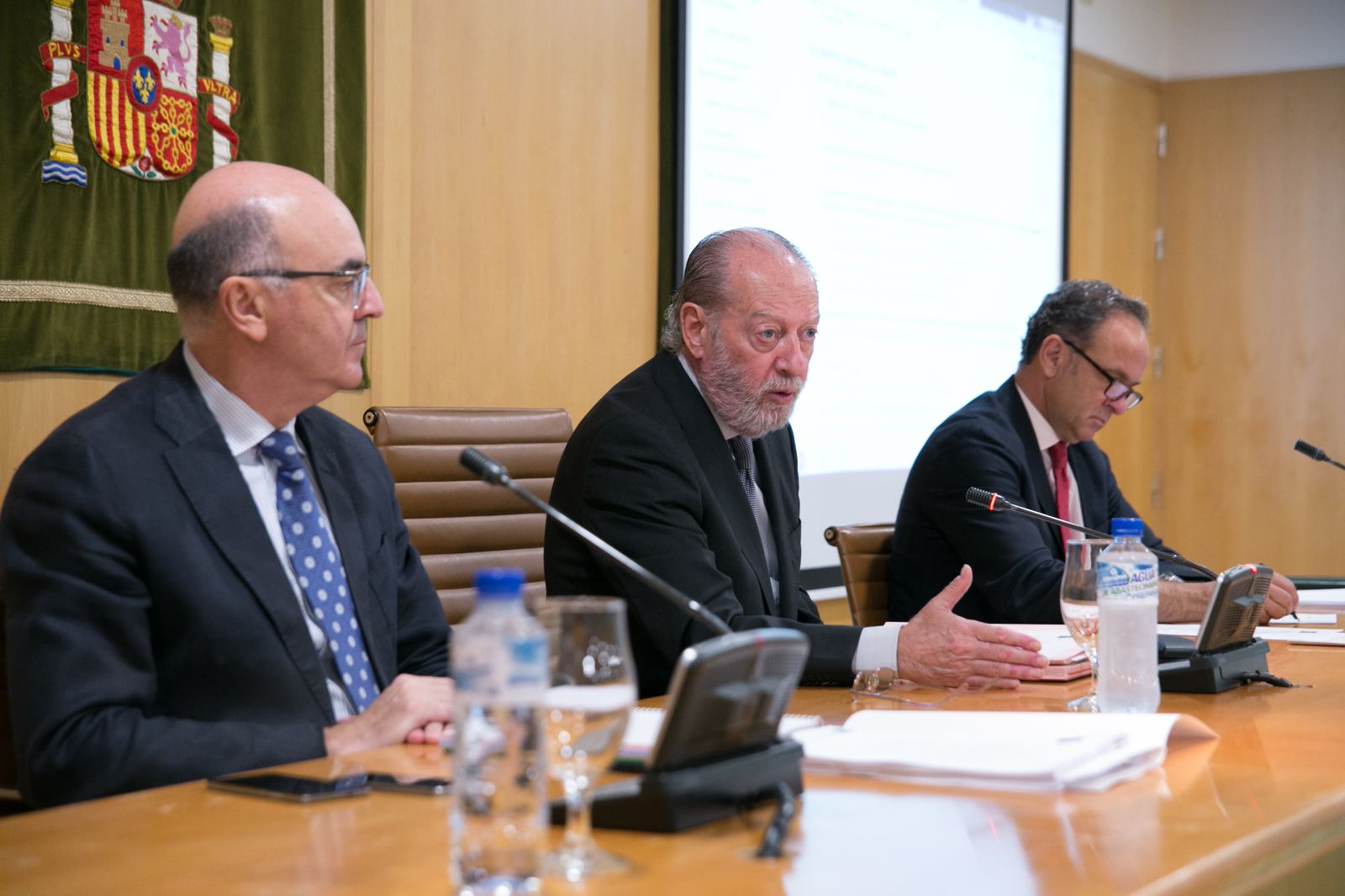 Villalobos durante el Pleno Extraordinario