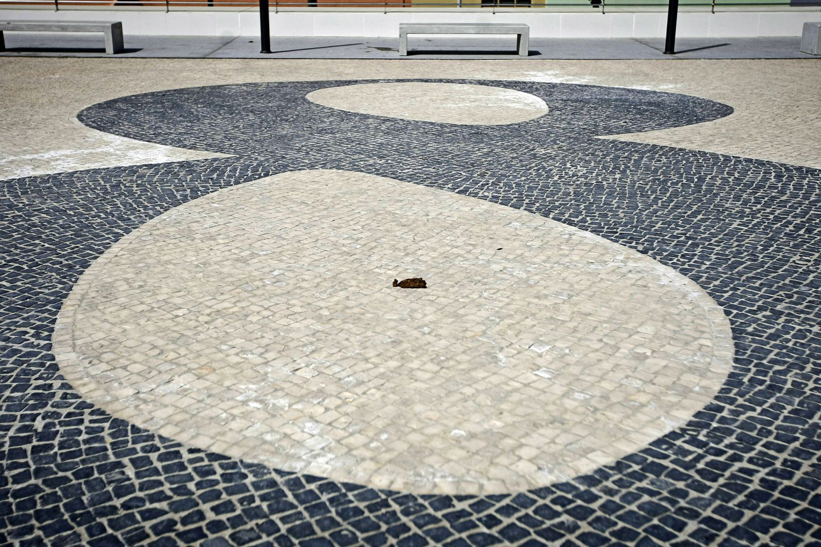 Un excremento canino en el mirador de La Mirandilla.