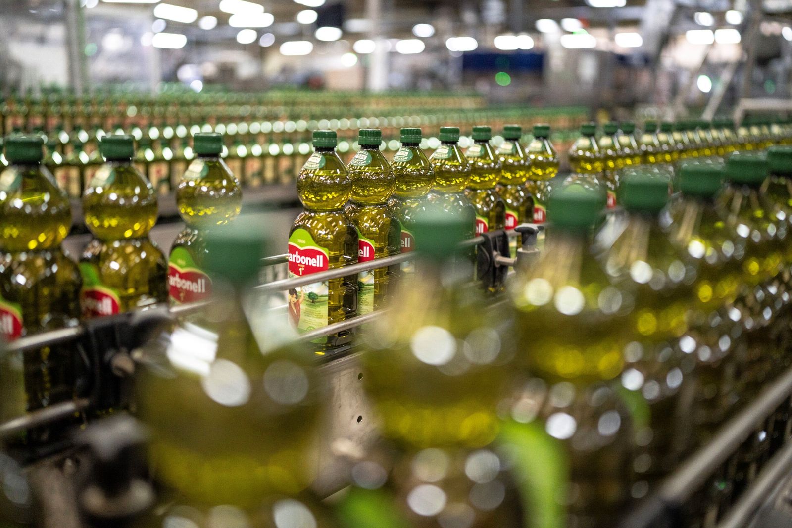 Botellas de aceite de Carbonell, una de las marcas de Deoleo