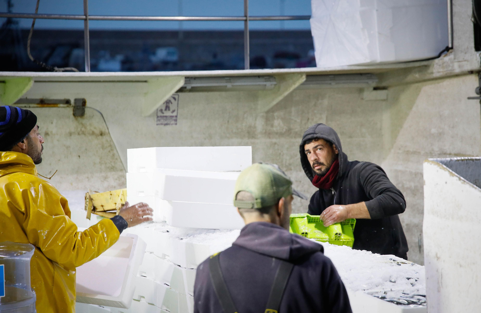 Te contamos en imágenes como ha sido la descarga de las traiñas en la lonja de Almería
