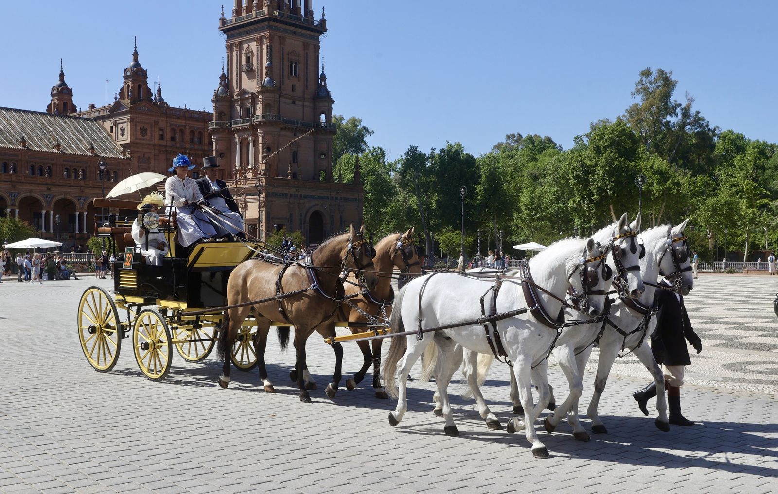 X copa CIAT   Concurso de Enganches