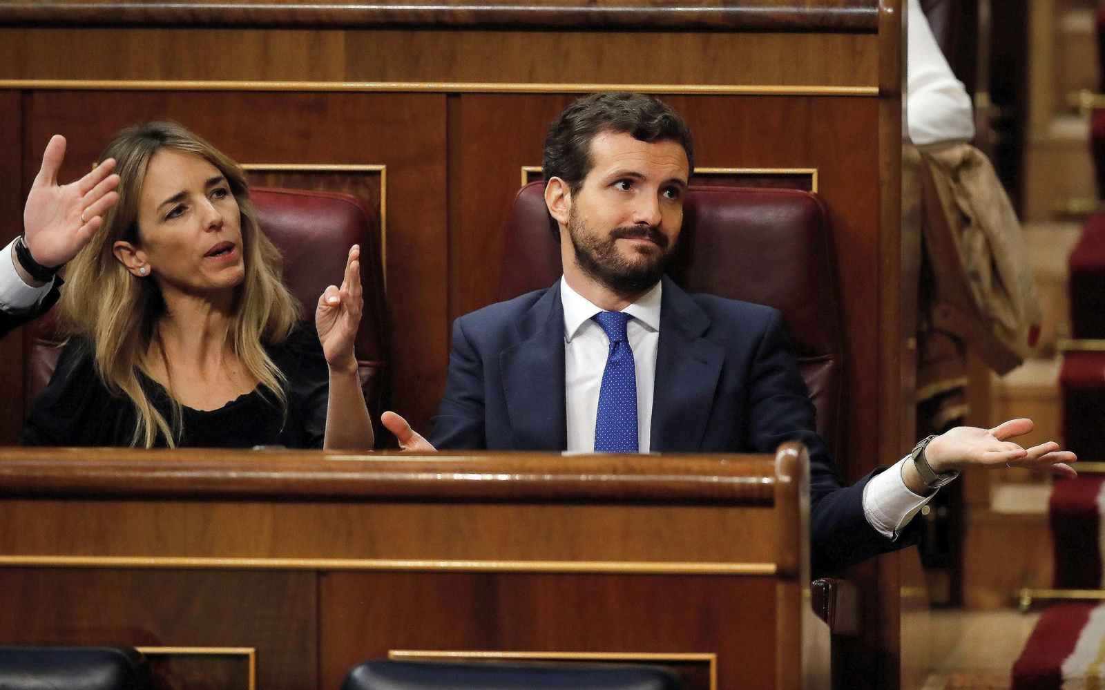 Las imágenes de la investidura de Pedro Sánchez