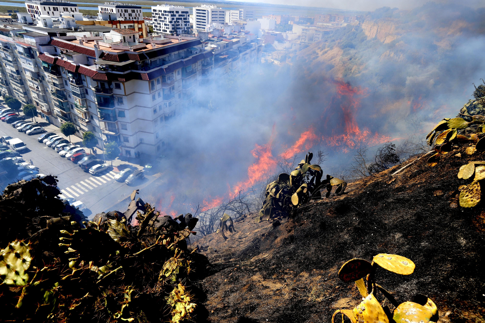 Imágenes del espectacular incendio en las laderas del Conquero