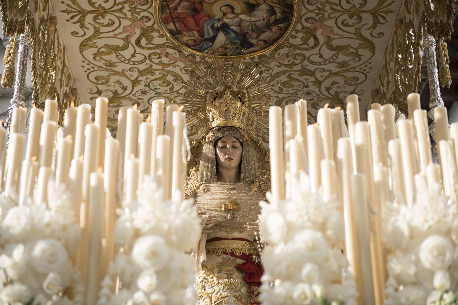 Galería de imágenes de la Aurora