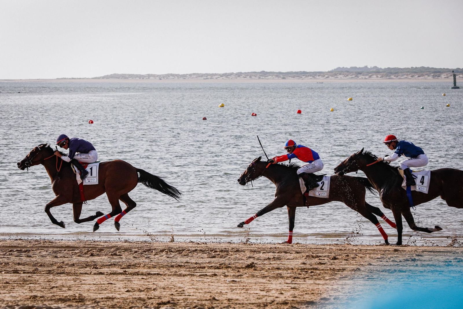 Imágenes de la segunda jornada del ciclo inicial de las Carreras de Caballos de Sanlúcar 2025