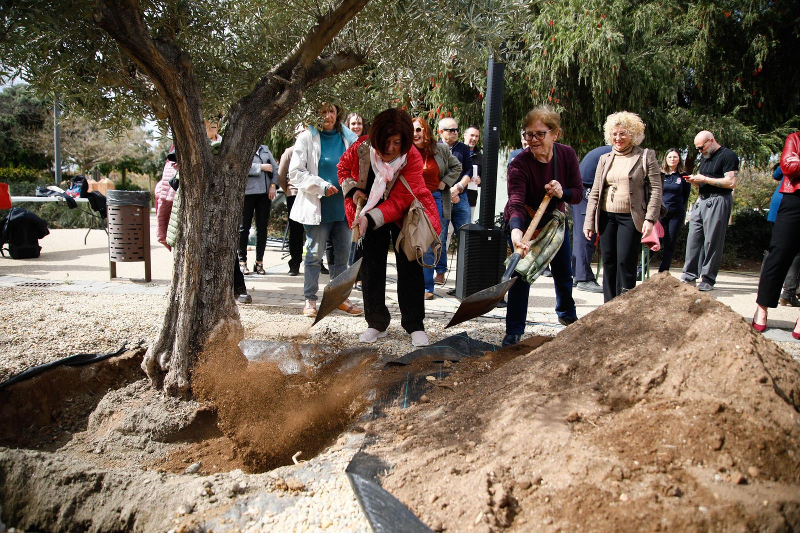 Las imágenes de la plantación de un olivo y el entierro de una cápsula del tiempo