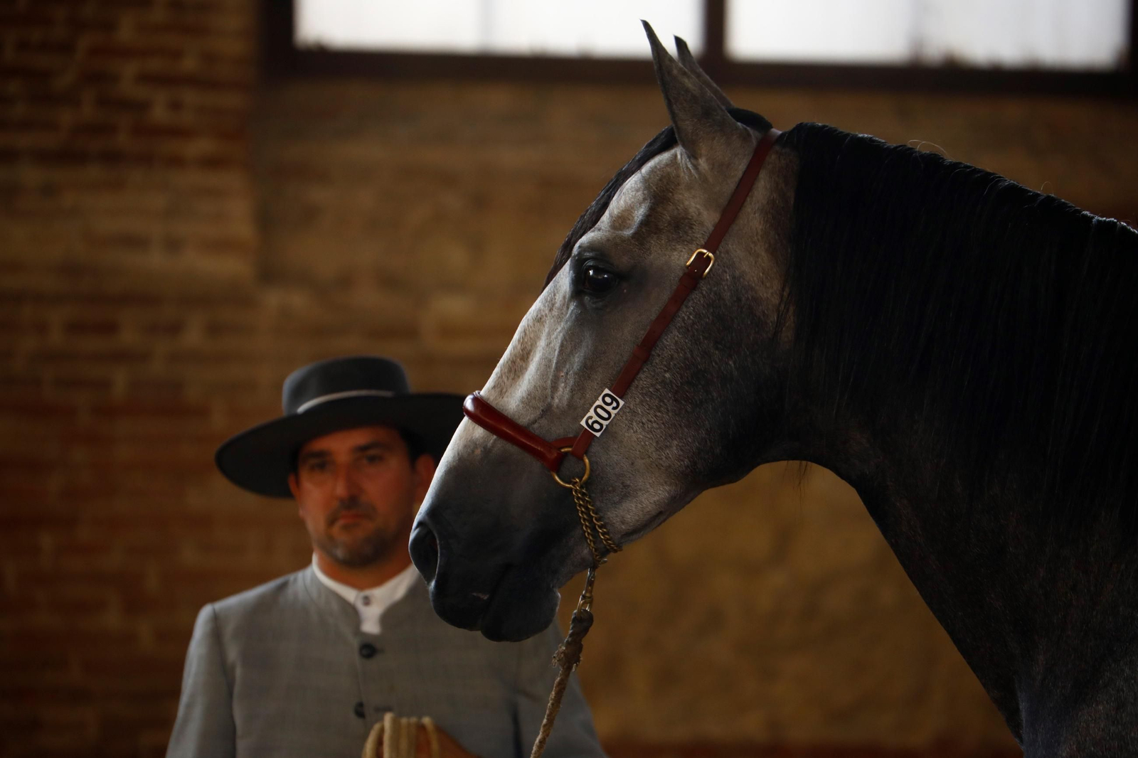 Cabalcor Cabalcor